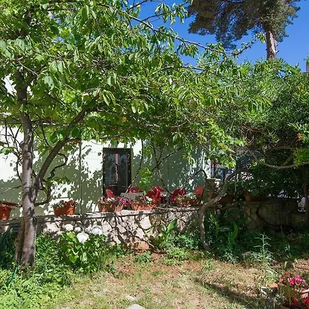 ゲストハウス Arsenio 3*