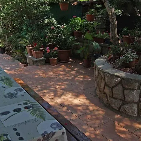 Arsenio ゲストハウス 3*