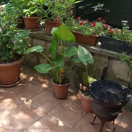 Arsenio ゲストハウス ヴェリ・ロシニュ