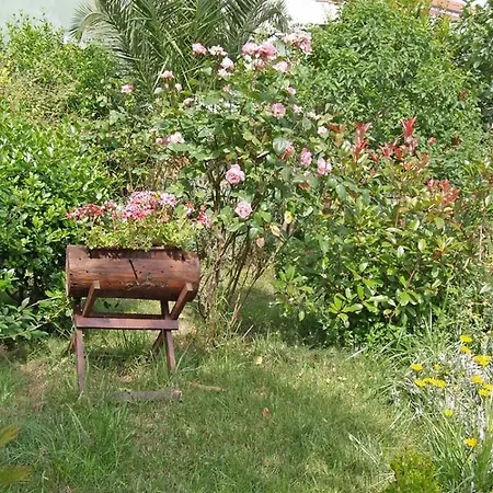 招待所 Arsenio Veli Lošinj