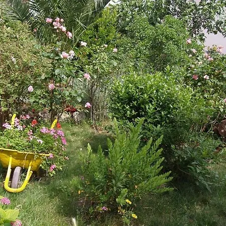 Guest house Arsenio 3*