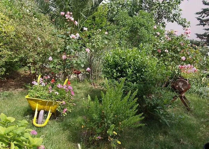 招待所 Arsenio 3*