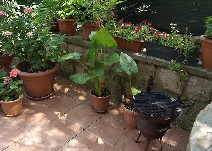 Arsenio 招待所 Veli Lošinj