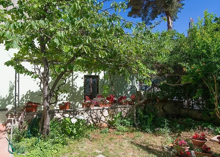 Guest house Arsenio 3*